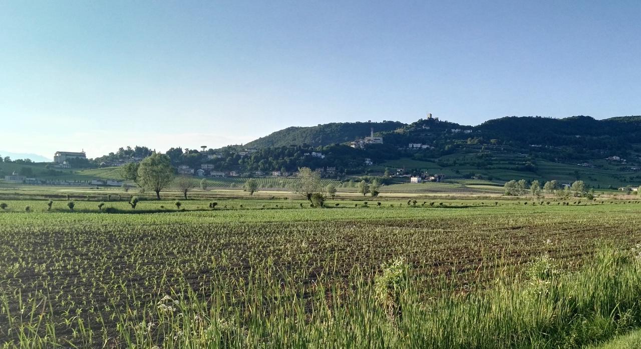 La Pergola Alloggio Brendola エクステリア 写真